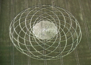 Cropcircle No. 13